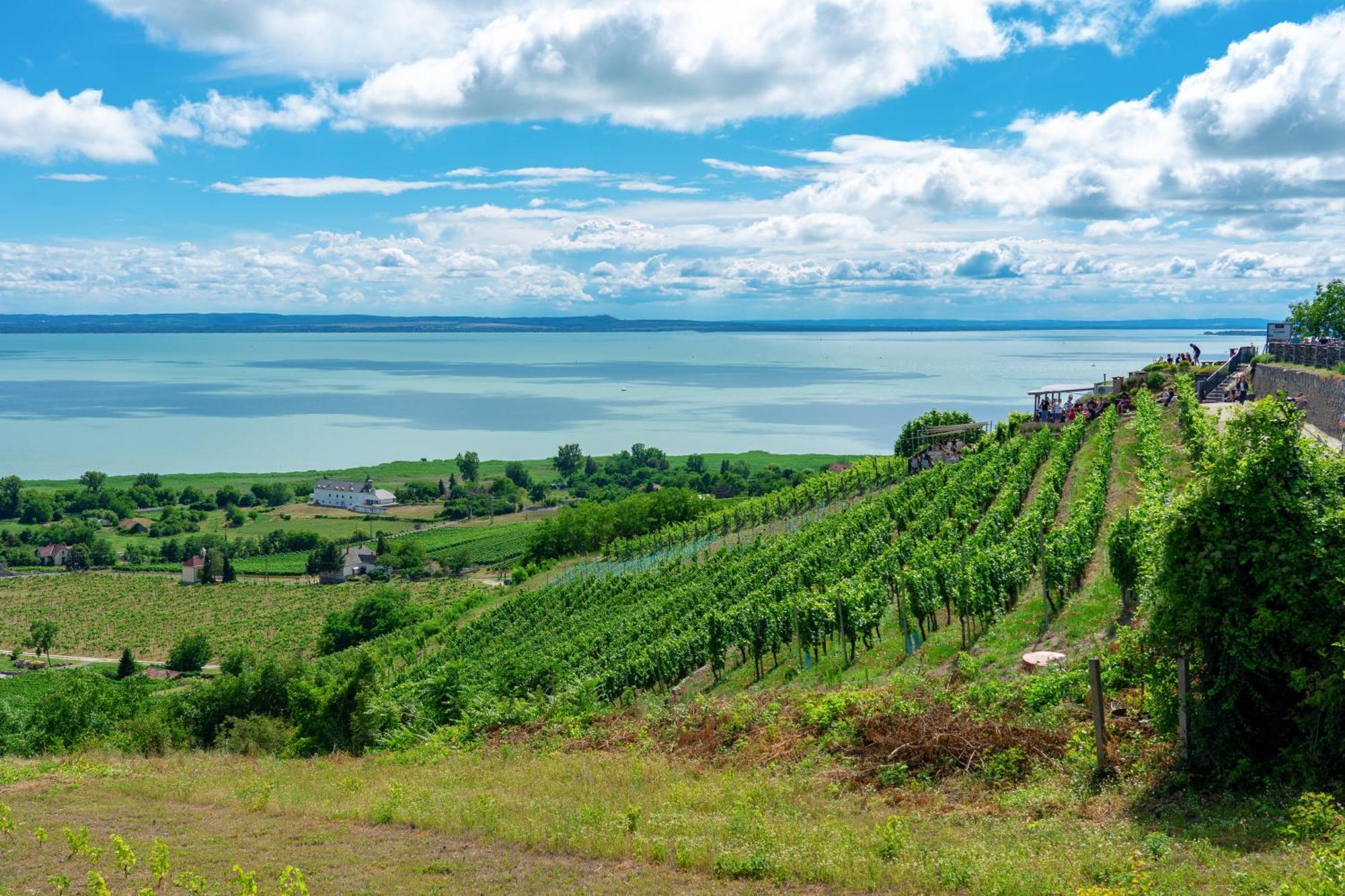 Lake Side Luxury Steps To The Lake Lela - Happy Rentals Balatonlelle Eksteriør billede